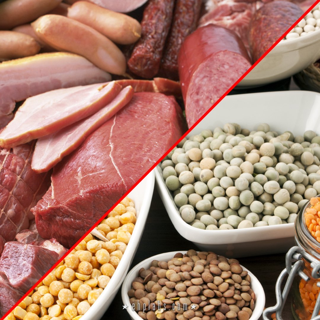 ANIMAL VS PLANT PROTEIN: WHICH IS BETTER?